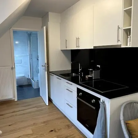 & Modern Penthouse-studio With Balcony & Air-condition Appartement Zurich